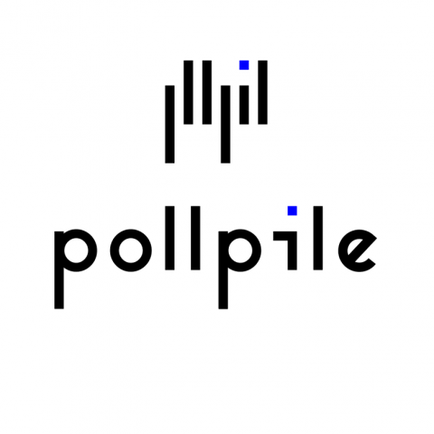 Логотип и фирменный стиль для сервиса "Pollpile"