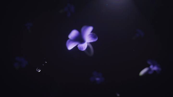 Дизайн упаковки для АО «Комбинат «Крымская роза»