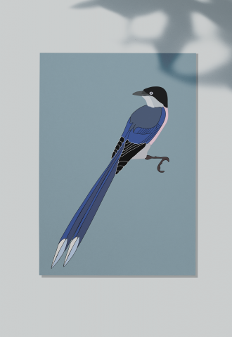 Иллюстрация птицы