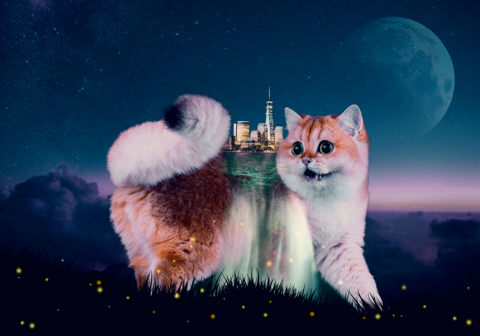 Абстрактный коллаж с кошкой