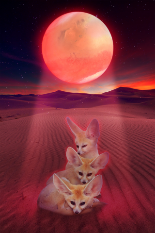 Космический коллаж Феньки