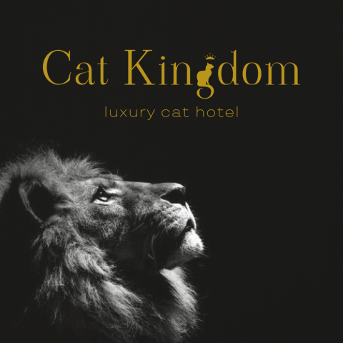 Cat Kingdom