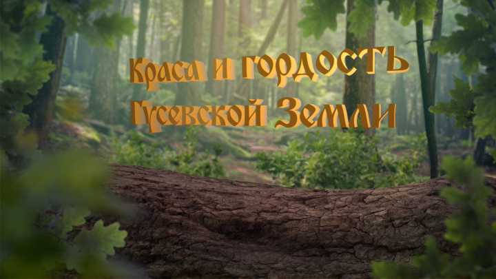 Разработка заставки