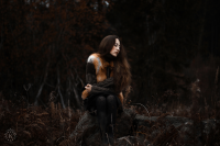 Lost Along The Forest