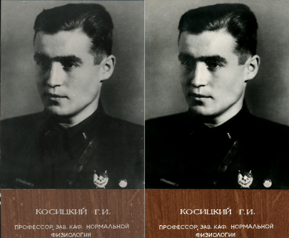 Работа 3545404