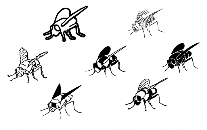 варианты логотипа