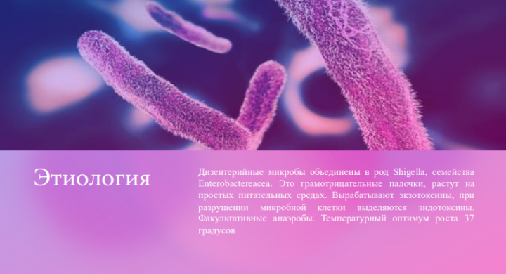 Дизентерия
