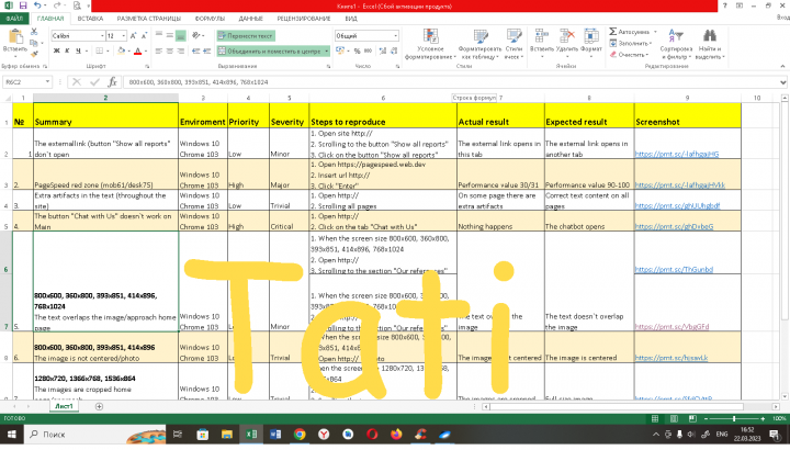 Bug report Usability Testing