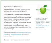 Почтовая рассылка