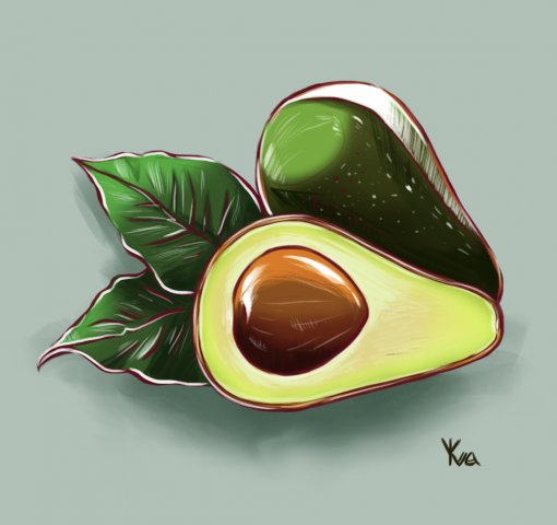 Avocado