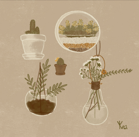 Digital Illustration