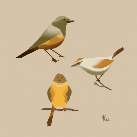 Birds Abstract Art Digital