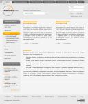 Дизайн сервиса по продвижению в социальных сетях