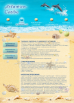 Вёрстка сайта для туристического агентства "Atlantico Caribe"