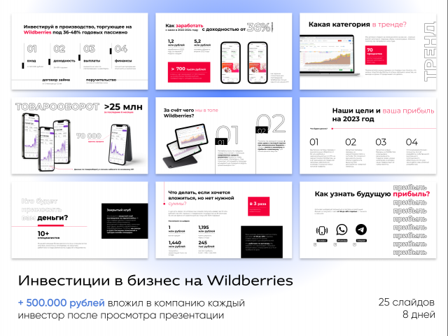 Презентация для привлечения инвестиций