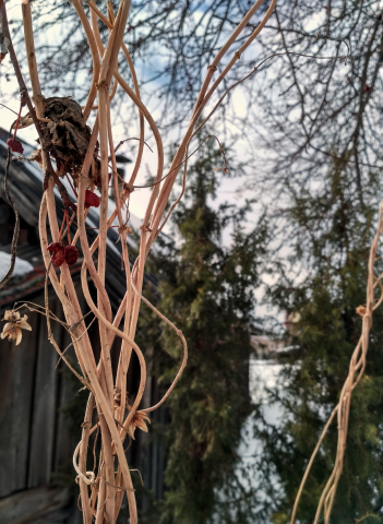 Работа 3754293