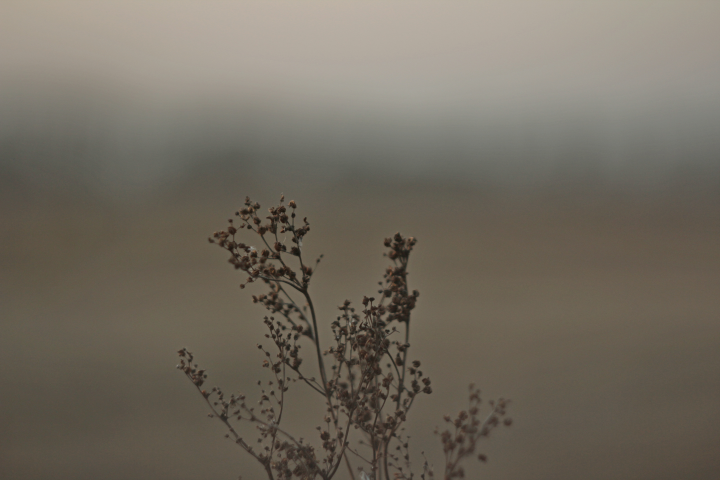 Работа 3754236