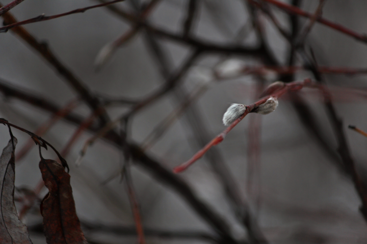 Работа 3753853