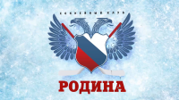 Ролик для хоккейного клуба "Родина"
