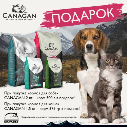 Рекламный модуль бренда "Canagan"