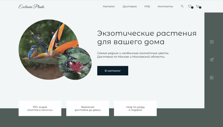 Интернет-магазин экзотических растений