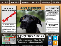 Главная страница