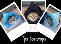 Коллаж