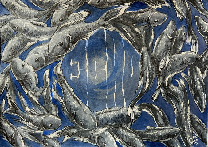 Echo