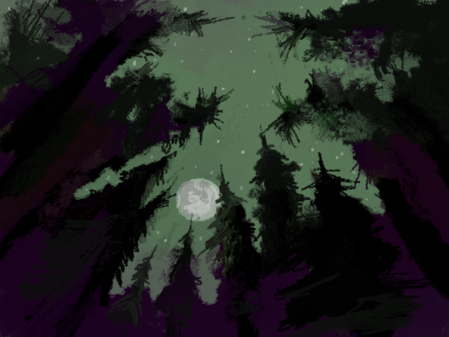 Тихая ночь в лесу