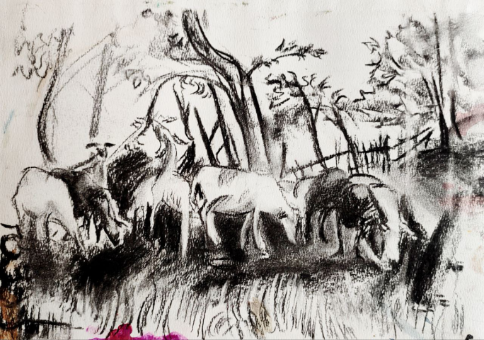 Овцы пасутся