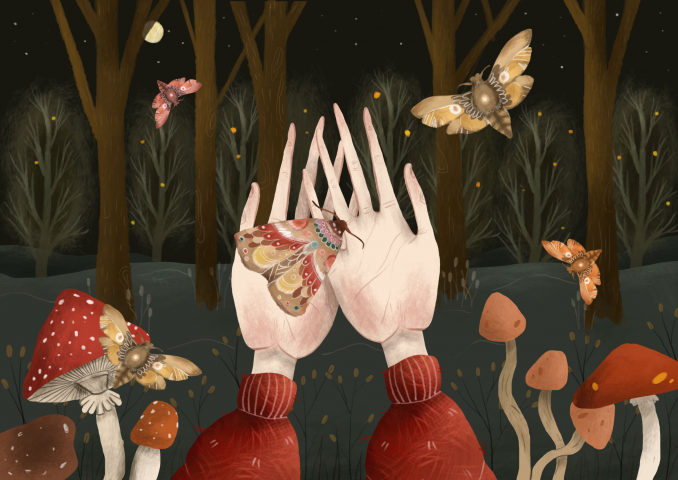 Иллюстрация