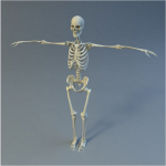 modeling, texturing, render low-poly model
