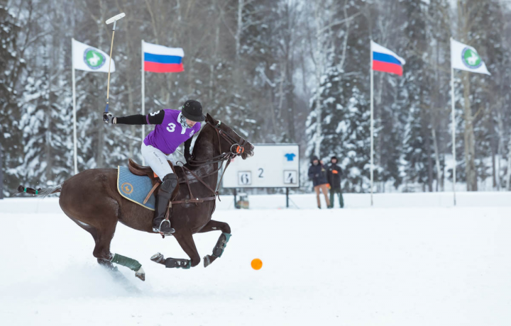 Конное поло