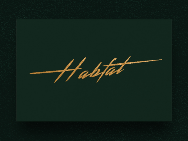 Логотип (бренд одежды)