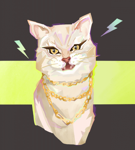 Дерзский котик