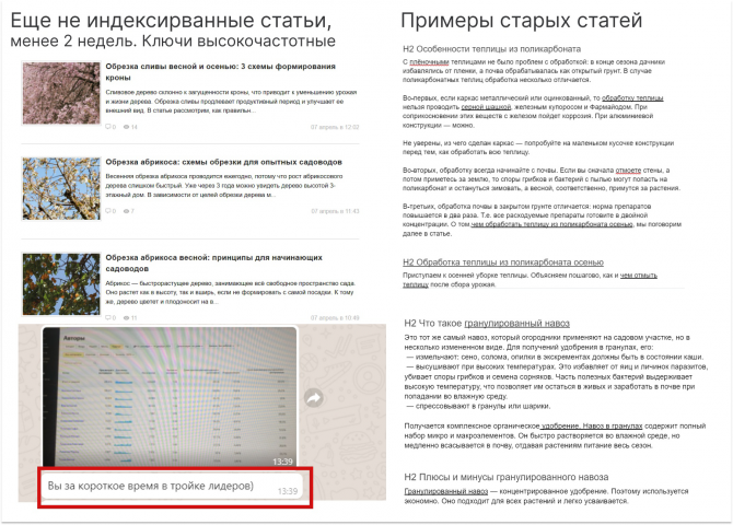 Сео тексты на тему садоводства