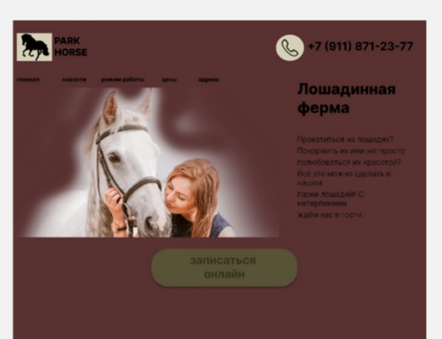 PARK HORSE