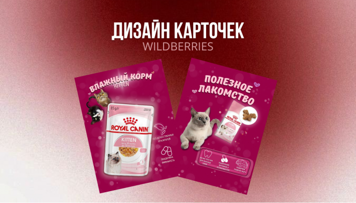 Инфографика