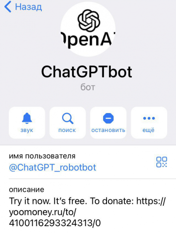 Созданный мной telegram бот: t.me/ChatGPT_robotbot