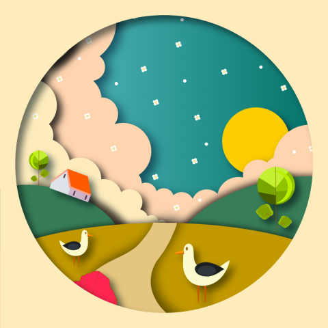 Утро в поле