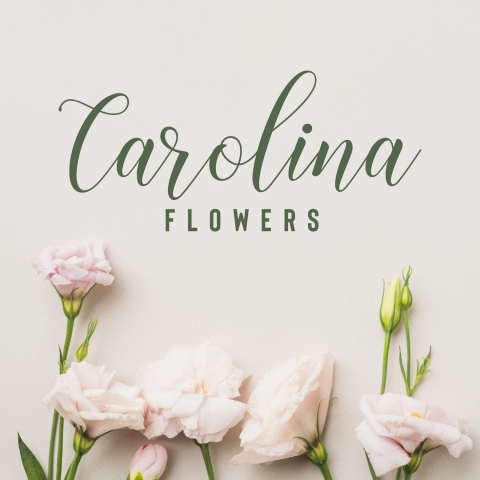 Логотип для студии авторского букета Carolina flowers