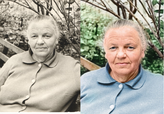 Работа 3976668