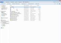Курсовая Виртуальные ЛКС