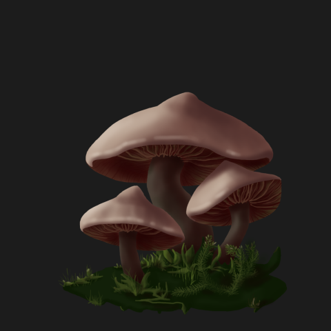 Mushrooms