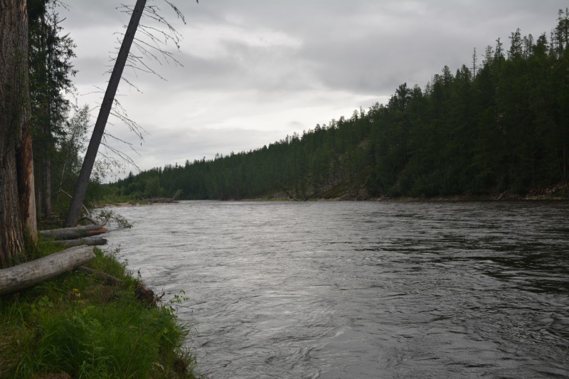 pic4405837.jpg