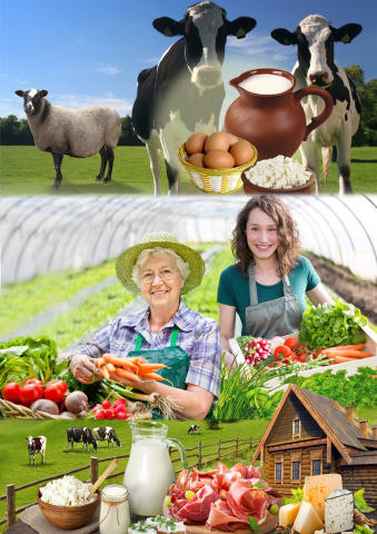 Коллаж для баннера на ферму