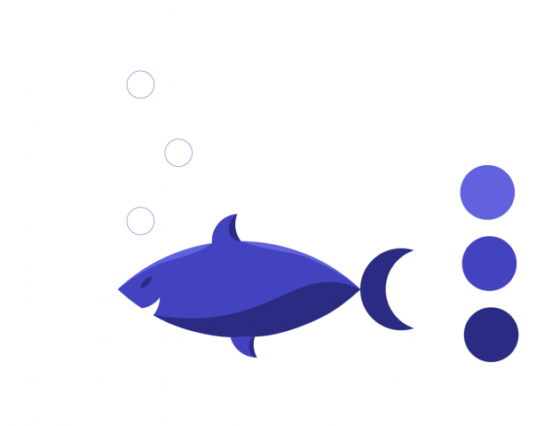 shark