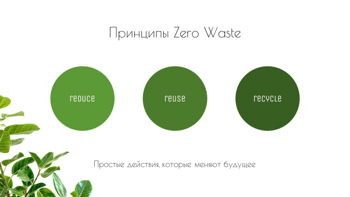 Слайд PowerPoint