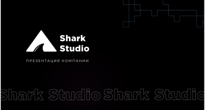 Презентация для компании Shark Studio