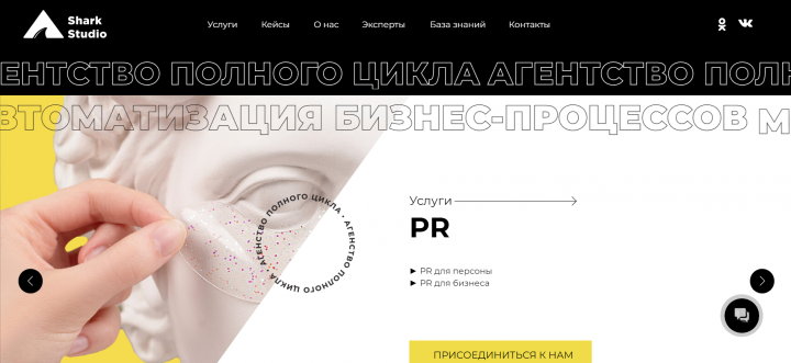 Сайт на Tilda для компании Shark Studio
